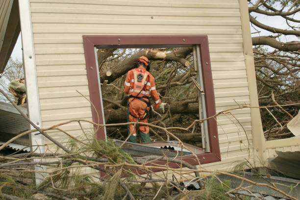 Best Commercial Tree Services  in Plattsburgh, NY